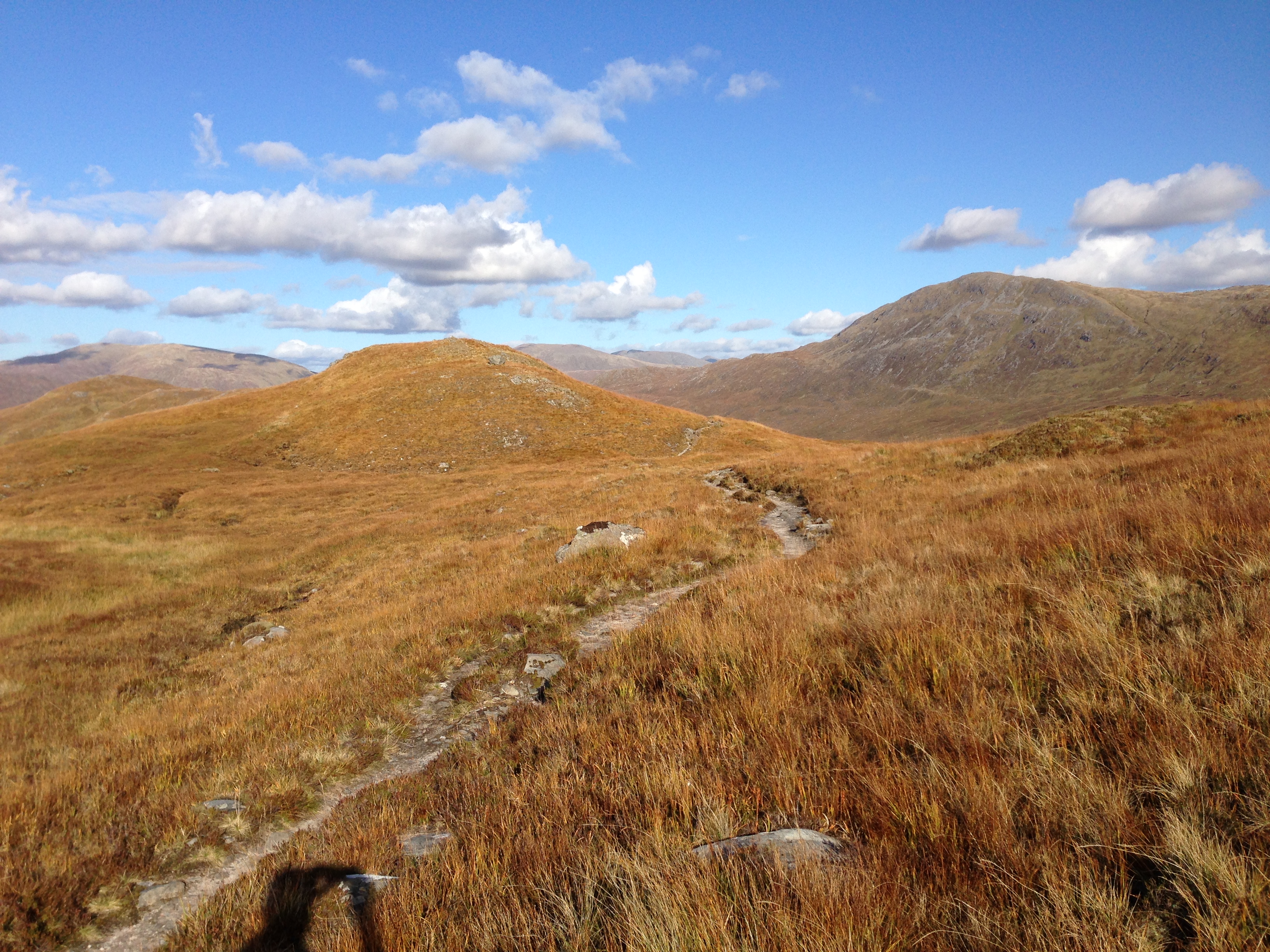 98E1FFAB-60FA-4595-8490-B87EEC389120