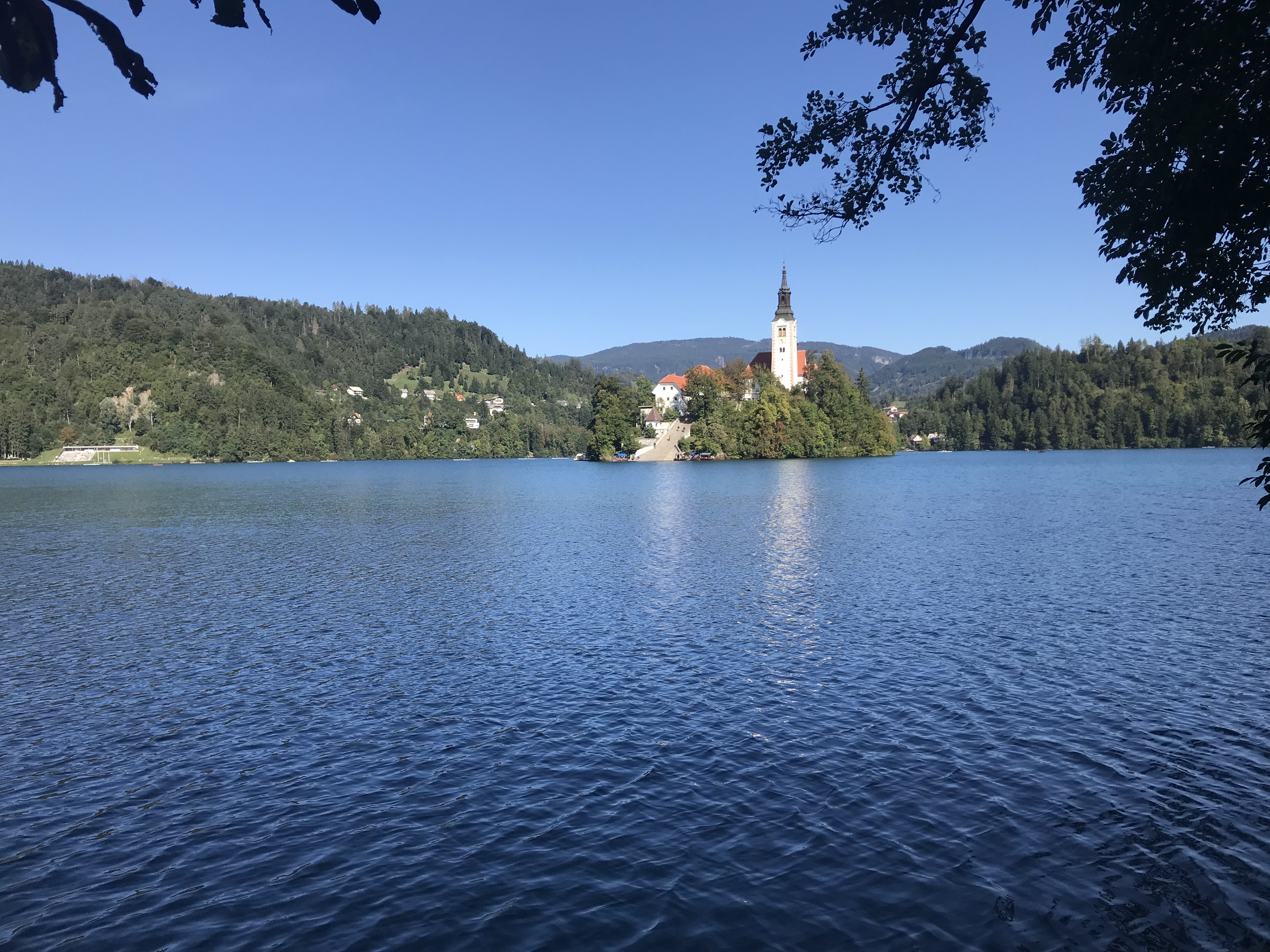 47610B65-6FDA-4EF2-91D9-0578BD9692FF