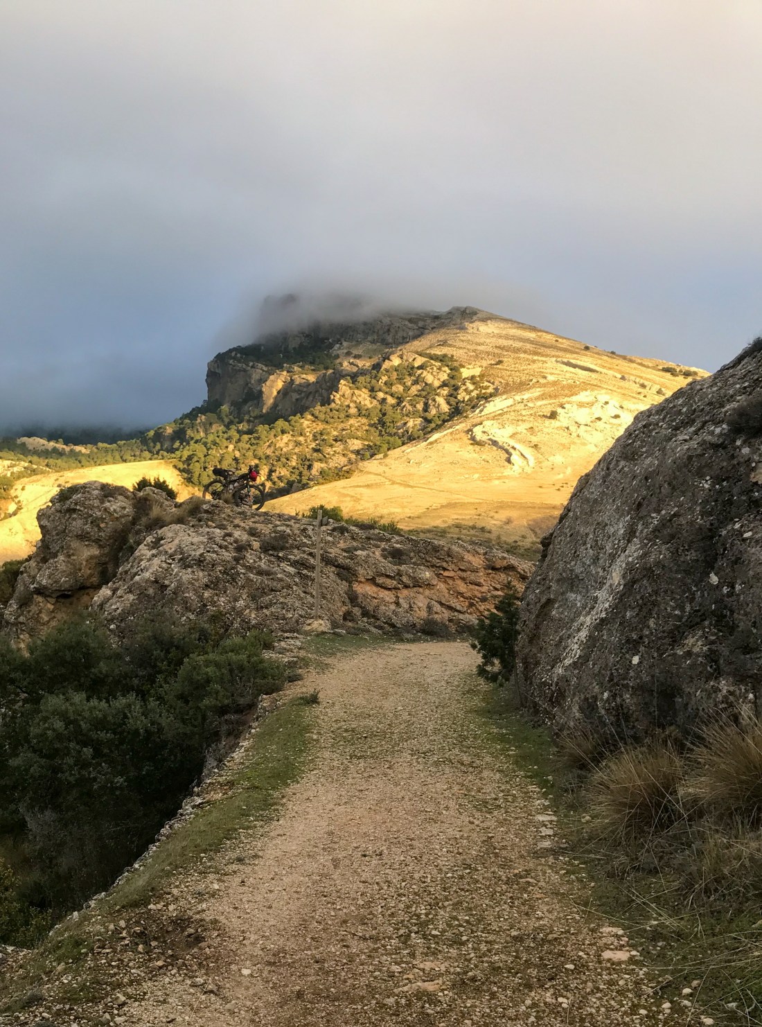 5144AB6E-08DD-4C83-9CC6-DBB1EF0DE799