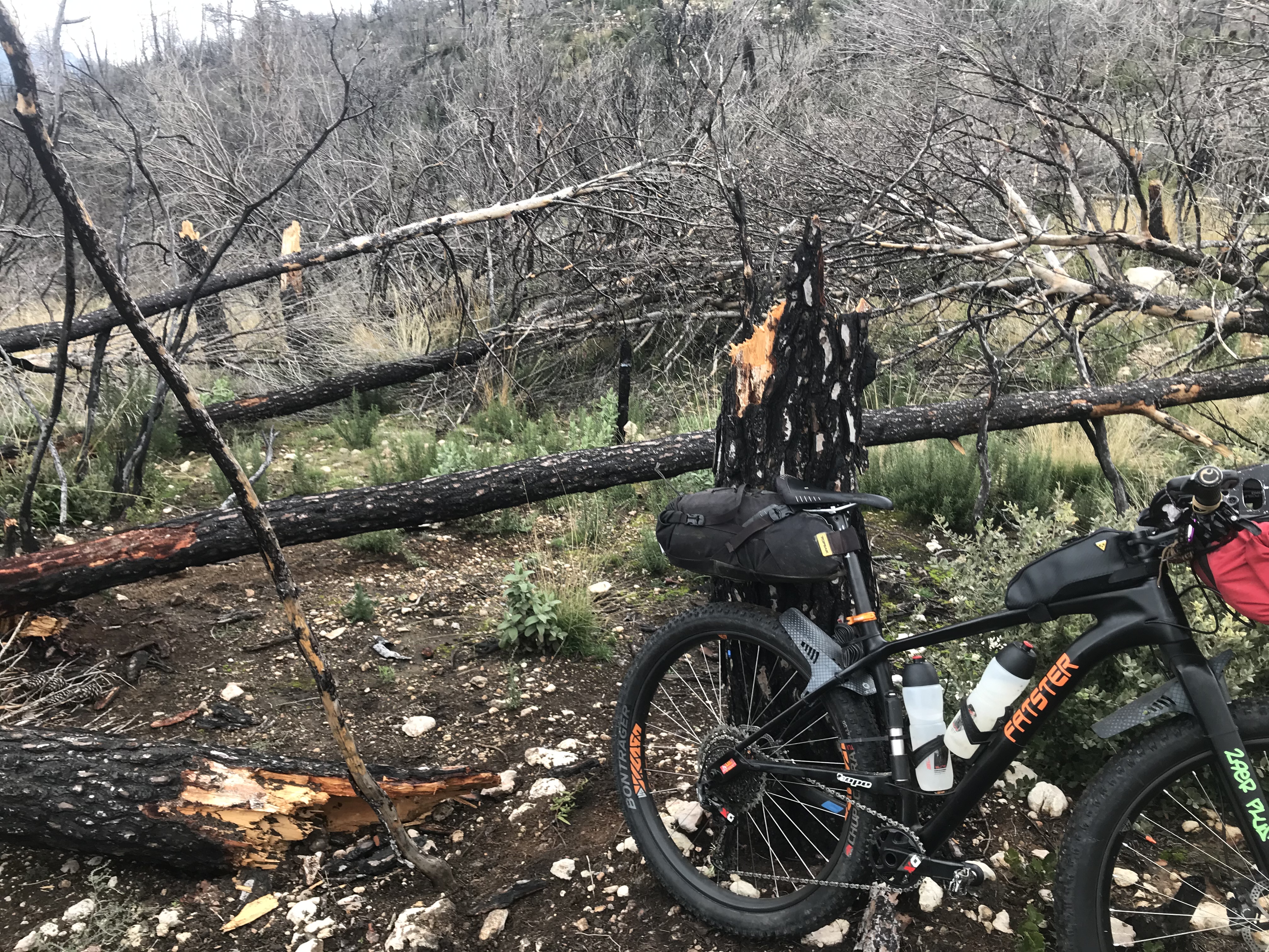 80019B84-931B-42B3-BE5F-9022FDA30F63