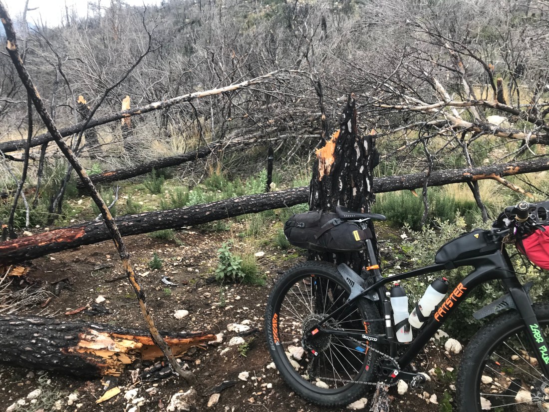 80019B84-931B-42B3-BE5F-9022FDA30F63