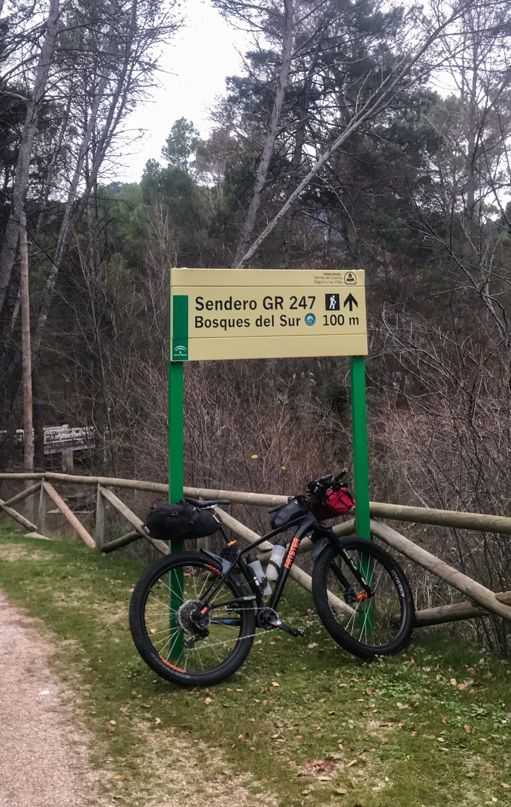 B21196F4-1314-4437-A381-0211CDDB8C56