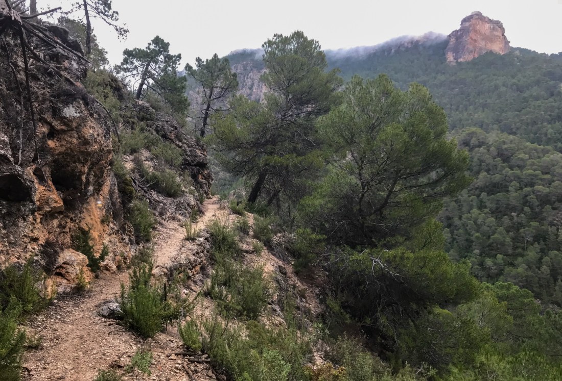 DE5C0FC8-E54D-4F54-8576-68FAC51EC3BC