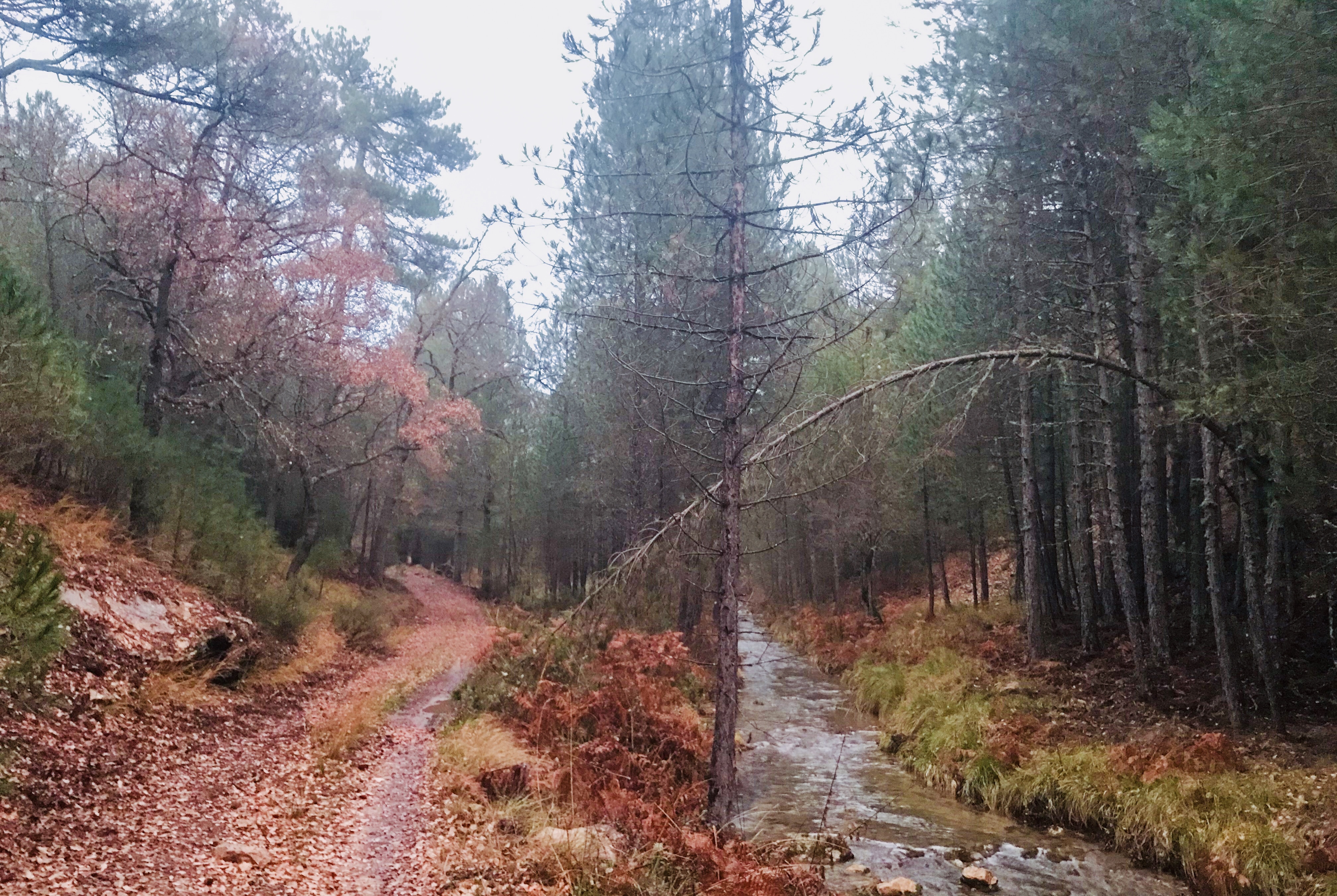 E810A911-5302-413A-B3D3-C6384D74F8B2