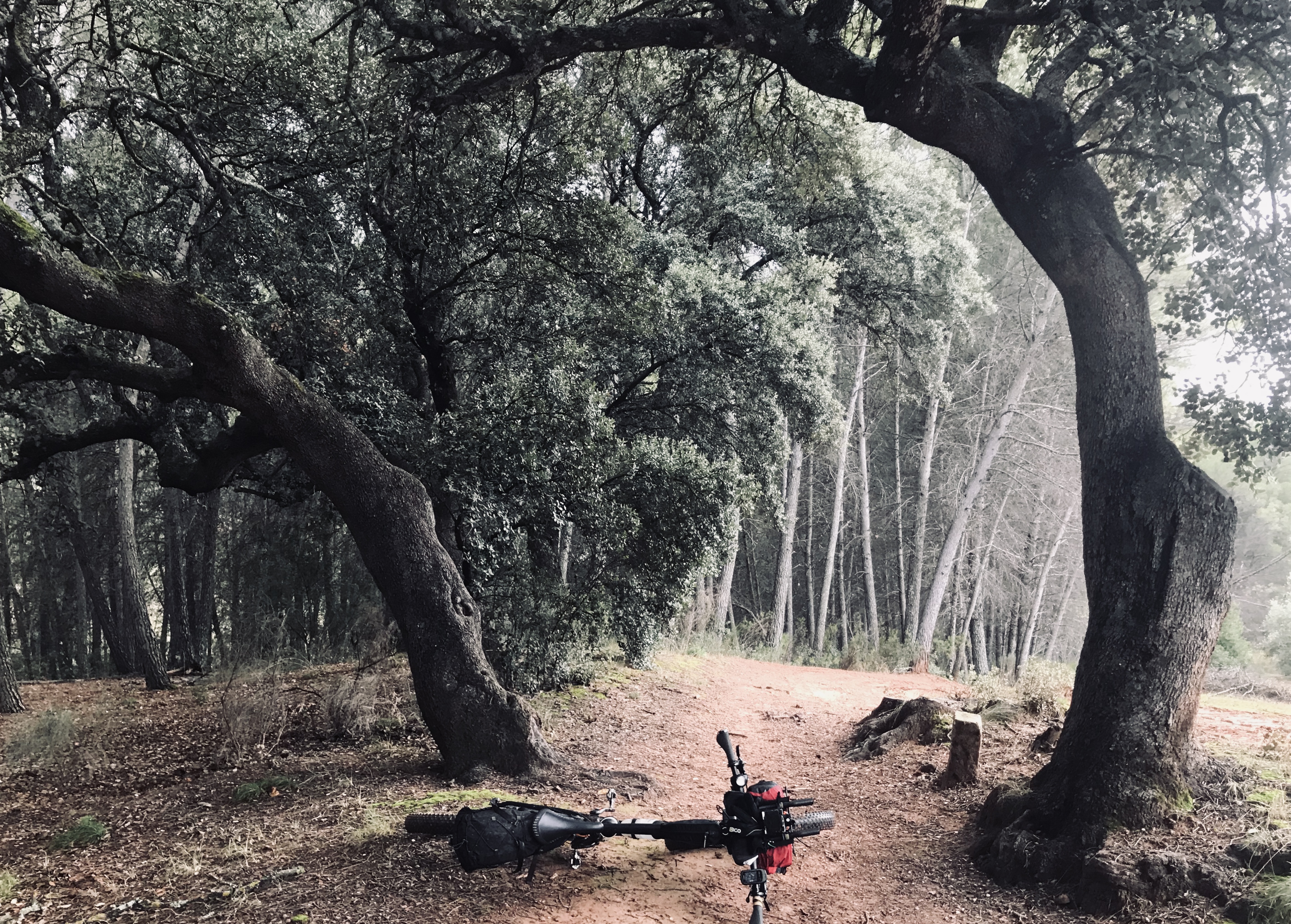 FE8118F9-1D89-48D9-8E7A-1E07B8A09D44