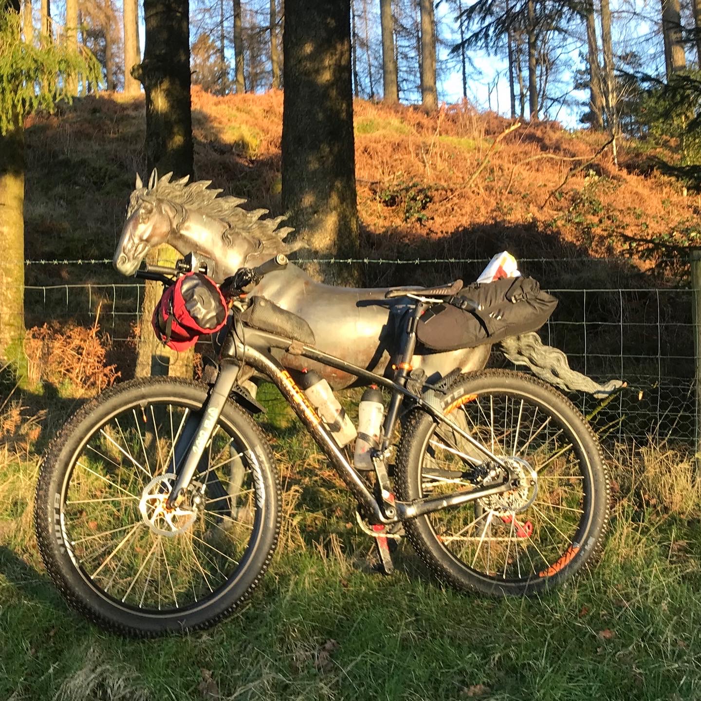 7EA63B21-298C-4729-BB91-65642BFBF7AE