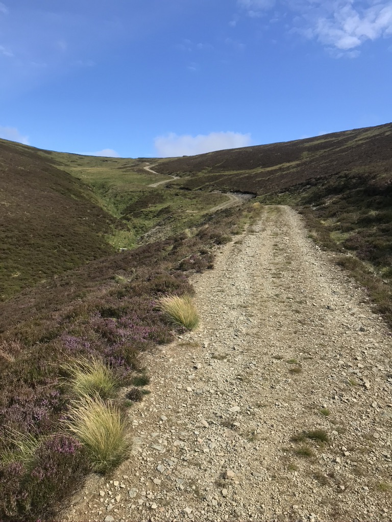 9A2EFDD2-FF8F-4D3A-86B8-F62B3B5A0599_1_105_c