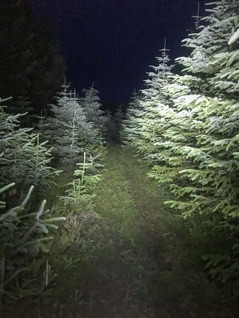 EE4C906F-A7CC-4851-9B3E-E6ECC087CFC7_1_105_c